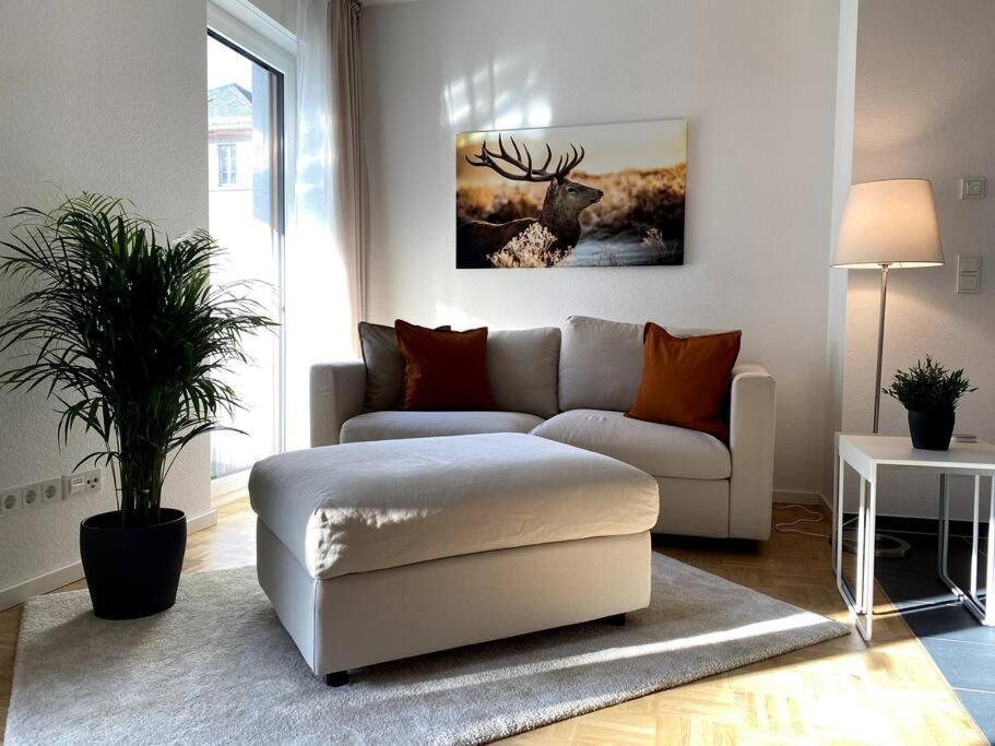 Acapella Suite Adagio 54Qm, Direkt Am Weinberg, Altstadt, Netflix Inklusive Heppenheim  Buitenkant foto