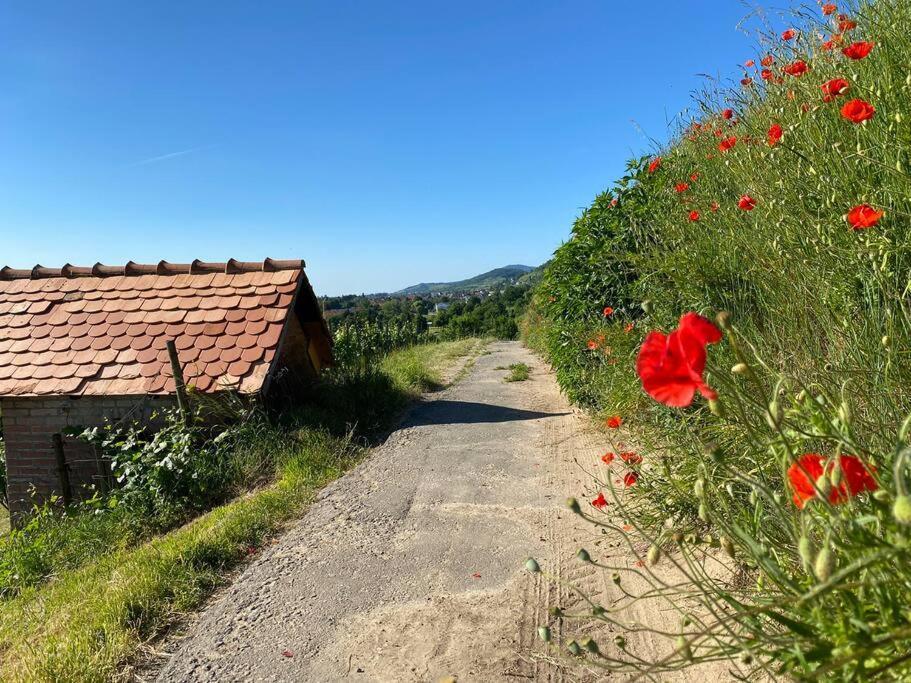 Acapella Suite Adagio 54Qm, Direkt Am Weinberg, Altstadt, Netflix Inklusive Heppenheim  Buitenkant foto