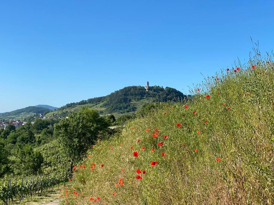 Acapella Suite Adagio 54Qm, Direkt Am Weinberg, Altstadt, Netflix Inklusive Heppenheim  Buitenkant foto
